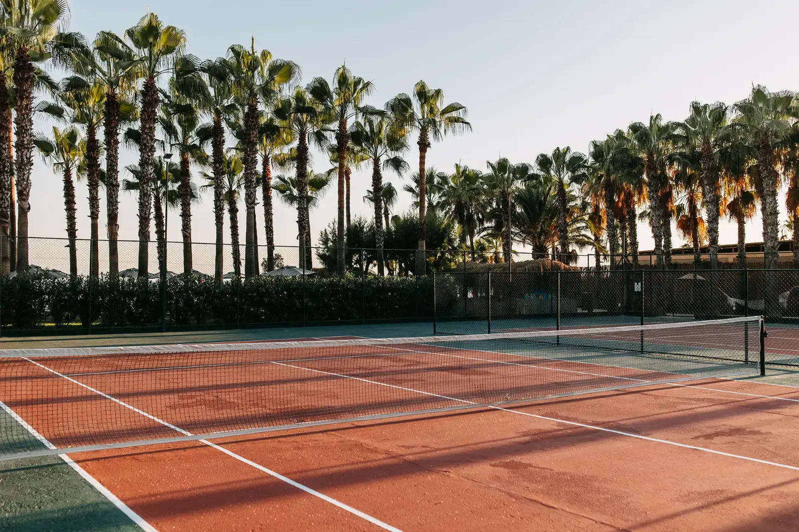 Ein roter Tennisplatz mit weißen Linien eingerahmt von vielen hohen Palmen bei Sonnenuntergang.
