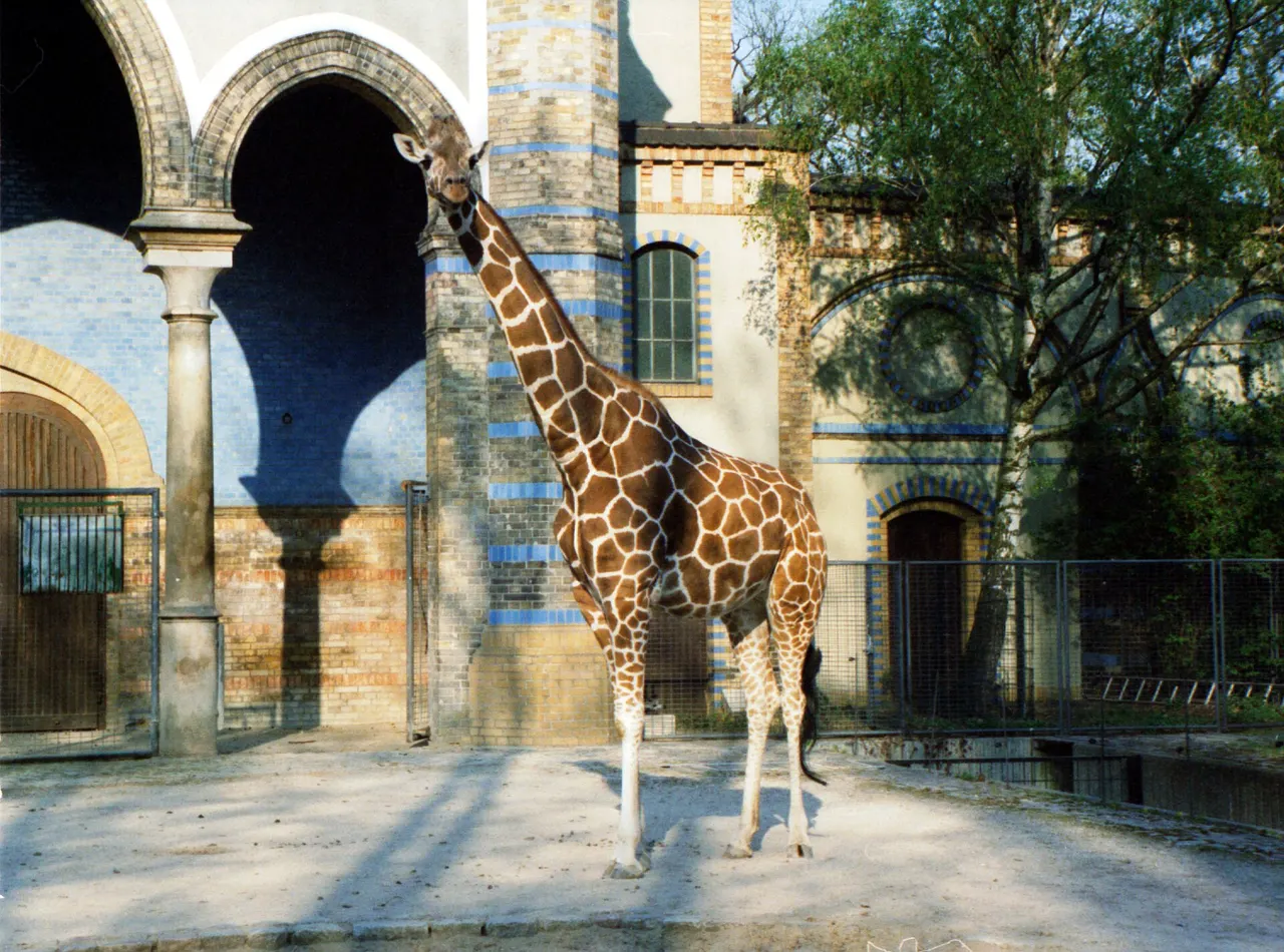 Zoologischer Garten Berlin in Berlin